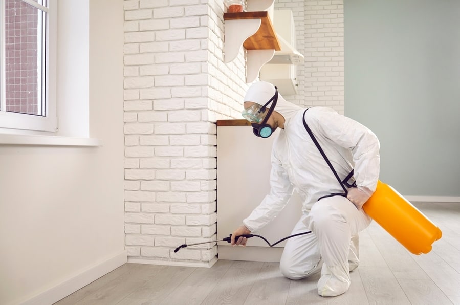 Male In White Protective Overalls Crouching By Kitchen Wall And Spraying Cockroach