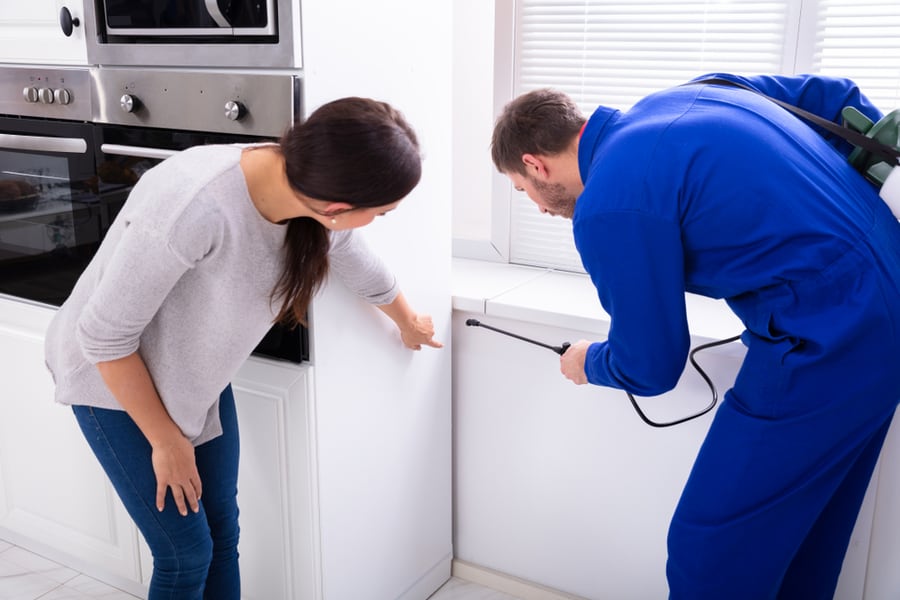 Male Worker Spraying Insecticide Chemical