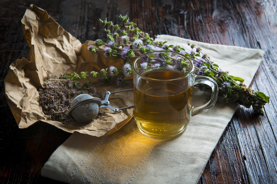 Mentha Pulegium