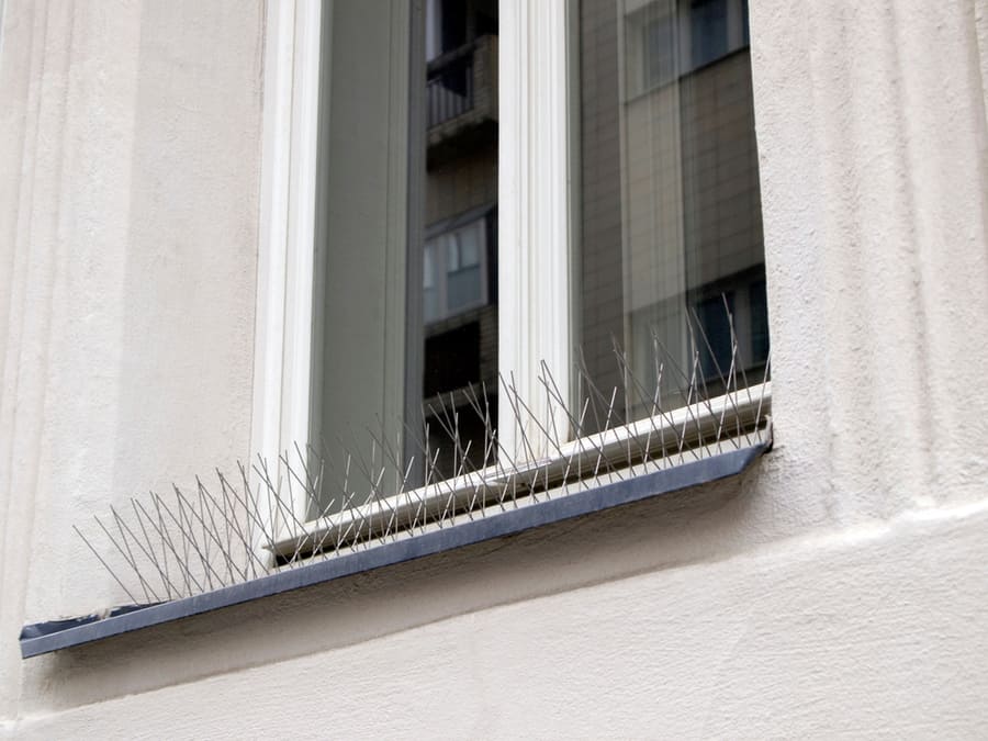 Metal (Steel) Bird Spikes On The Windowsill. Reliable Protection Against Birds, Especially Pigeons. Anti Bird Wire.