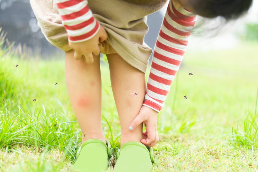 Mosquitoes Around The Child