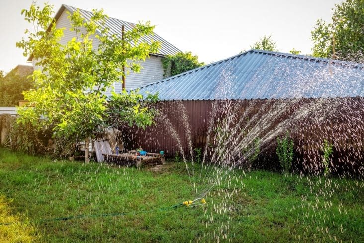 How To Deter Raccoons From Pooping in Your Yard | BeatPests