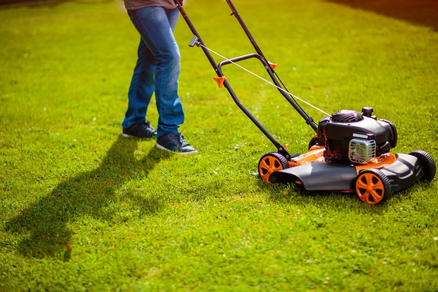 Mowing Lawn