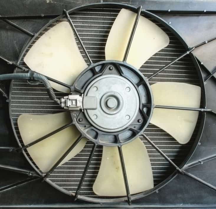 Mice Radiators How To Keep Mice Out of Car Cabin Filter | BeatPests