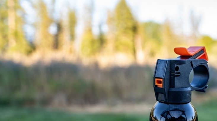 How To Deter Raccoons From Pooping in Your Yard | BeatPests