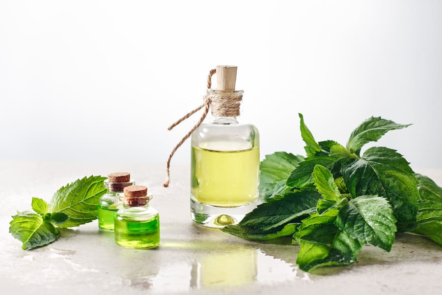 Peppermint Essential Oil