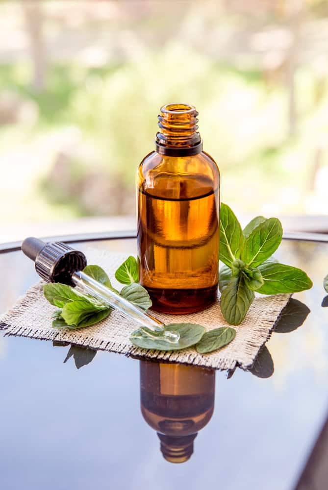 Peppermint Essential Oil