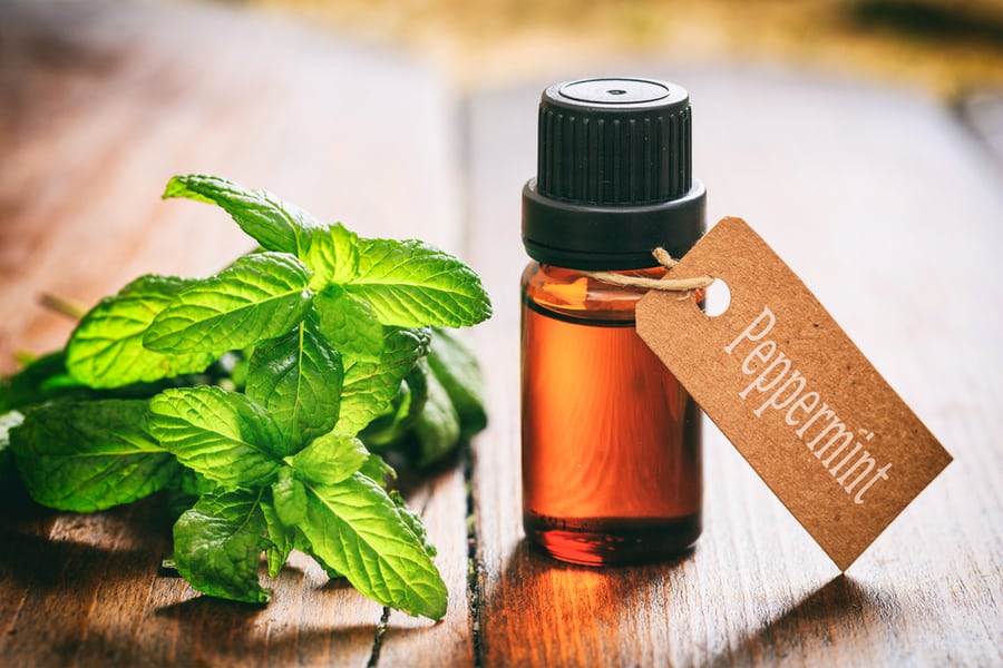 Peppermint Essential Oil And Fresh Twig On Wooden Background
