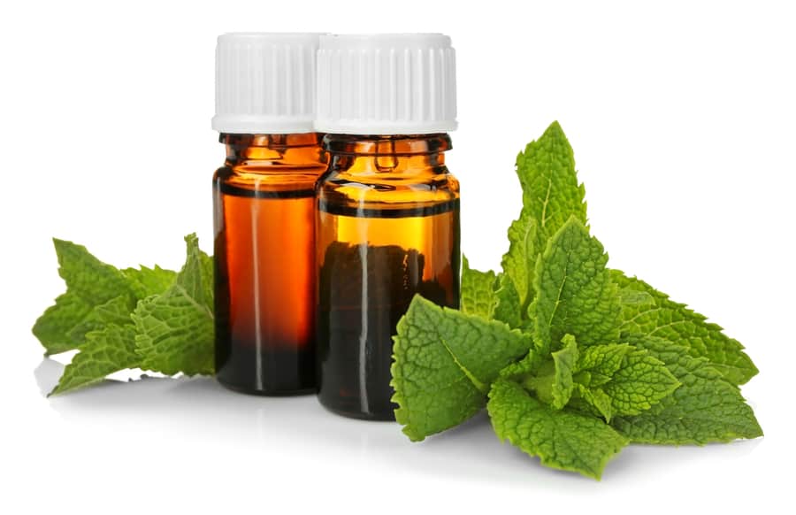 Peppermint Oil