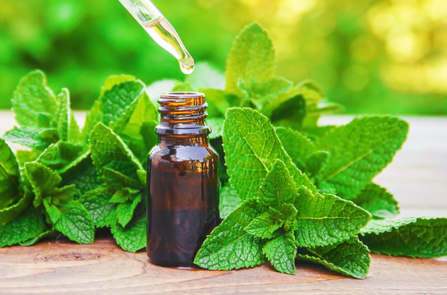Peppermint Oil Extract In A Small Jar