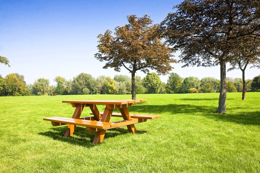 Picnic Table