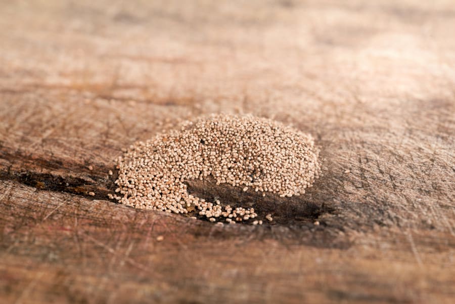 Pile Of Termite Droppings On Old Timber Wood