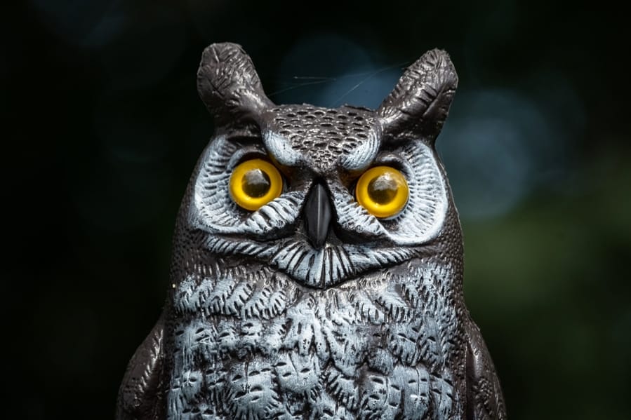 Plastic Owl Garden Decoration Animal Deterrent.