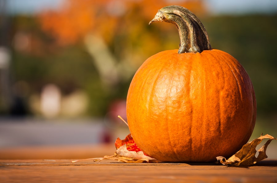 Pumpkin And Autumn Leaves On Picnic Table In The Fall