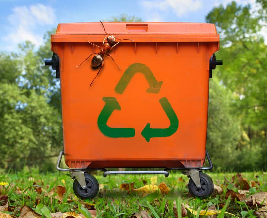 Recycled Sign On Garbage Bin And Large Ant