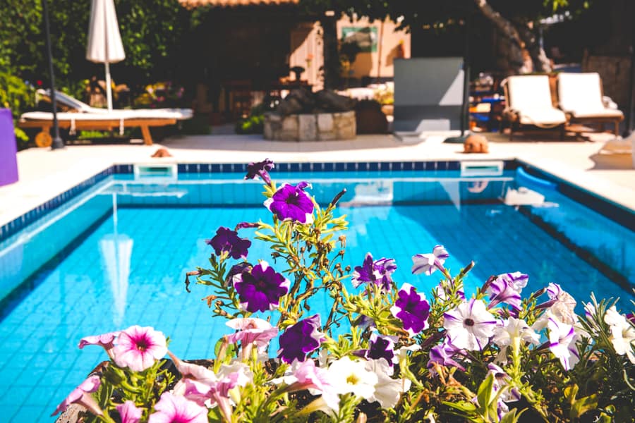 Remove Flowers Around Your Pool