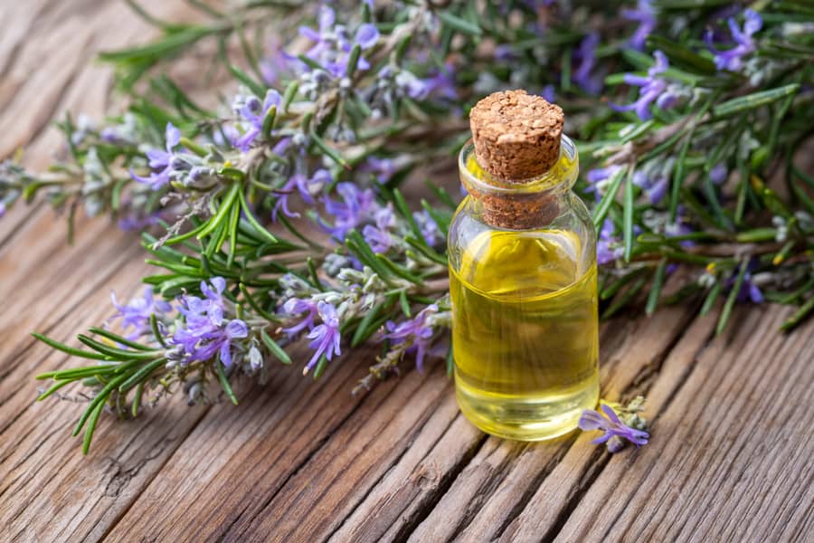 Rosemary Essential Oil