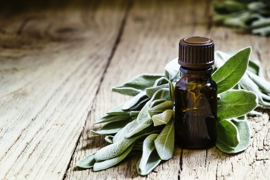 Sage Essential Oil