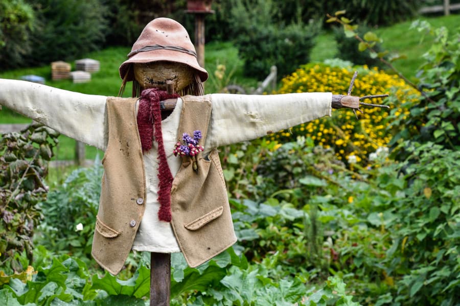 Scarecrow In The Garden