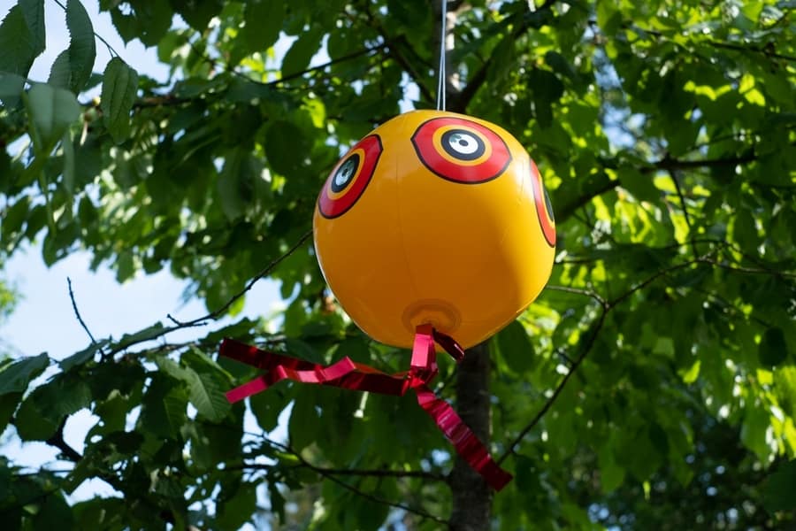 Scaring Bird With Flashing Tape