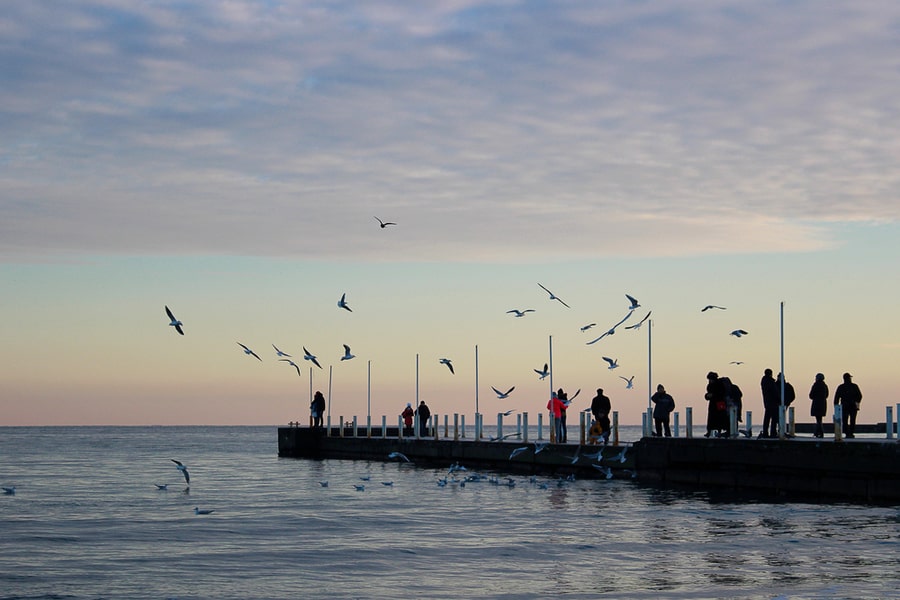 Seagulls Flying Near The Dock In The Evening