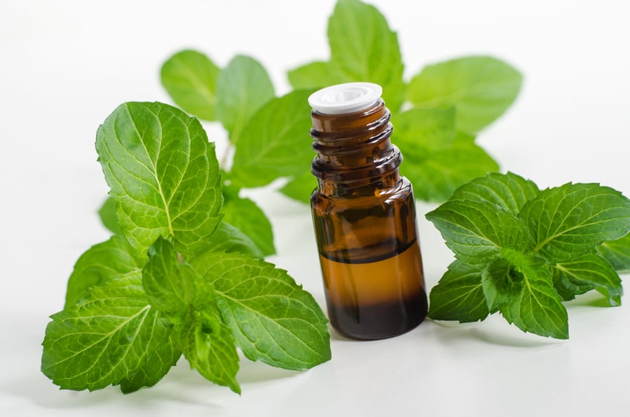 Small Bottle With Essential Peppermint Oil.