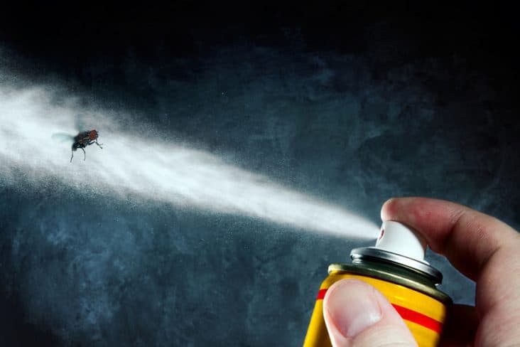 Sprinkle On Insect What Can I Spray on Screens To Keep Bugs Away? | BeatPests