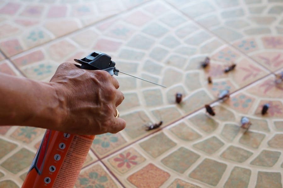 Spraying Insecticide At Cockroaches