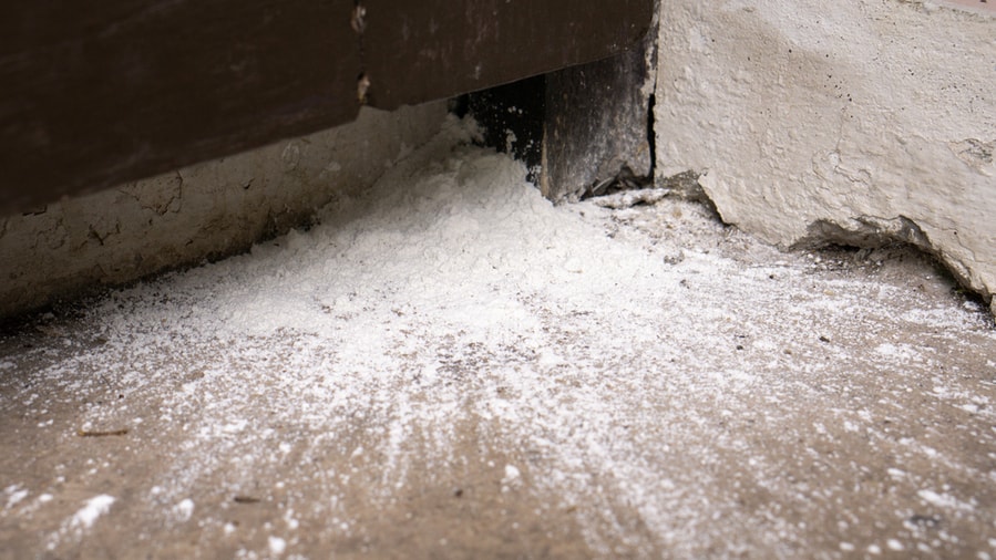 Sprinkle Boric Acid Or Borax On The Affected Areas