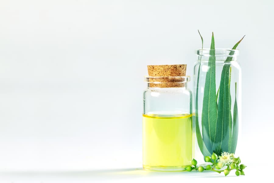 The Eucalyptus Essential Oils In Glass Bottle Organic Herbal