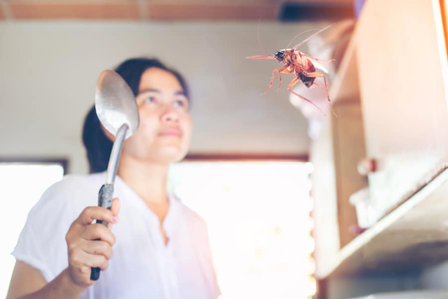 The Woman Is Going To Hit Cockroaches In The Kitchen