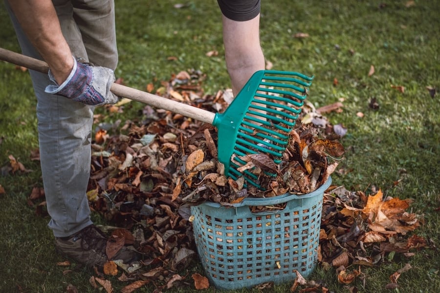 Tidy Your Environment