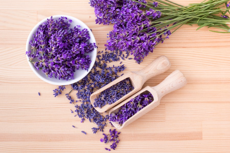 Top View Of A Bowl And Wooden Spoons With Dried And Fresh Lavender Flowers