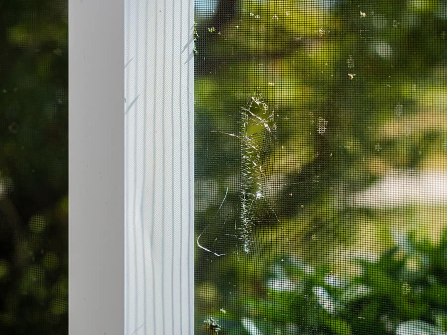 Torn And Damaged Lanai Porch Window Screen In Need Of Repair Or Replacement