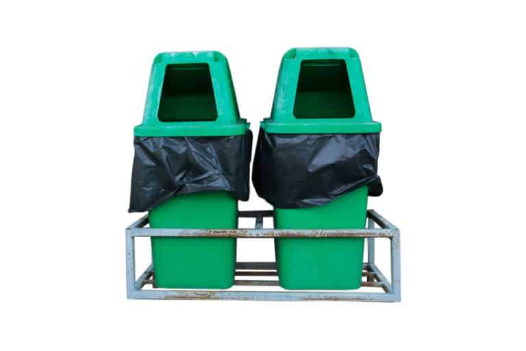 How To Deter Raccoons From Pooping in Your Yard BeatPests