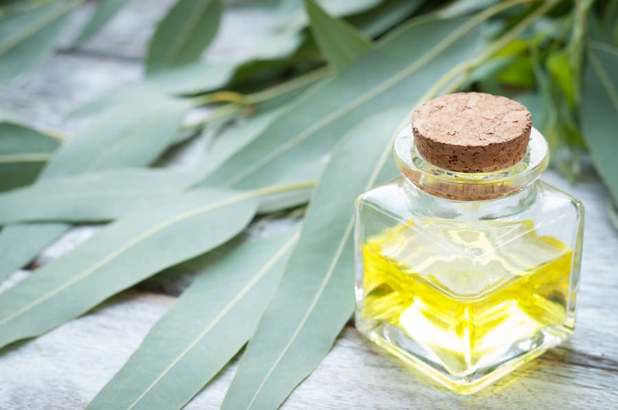 Try Eucalyptus Oil