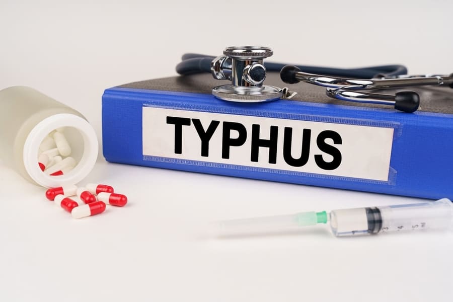 Typhus