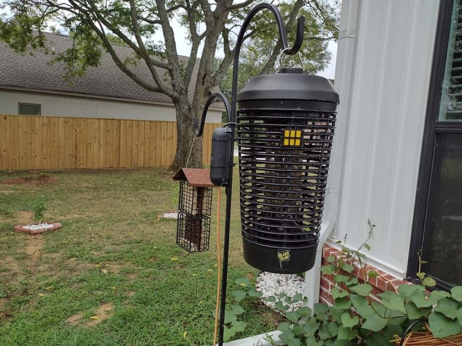 Use A Bug Zapper