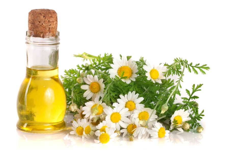 Use Chamomile To Spray Your House Thoroughly