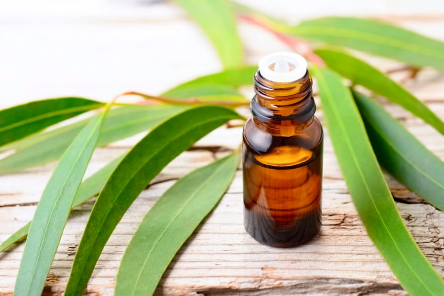 Use Eucalyptus Oil To Wipe Surfaces