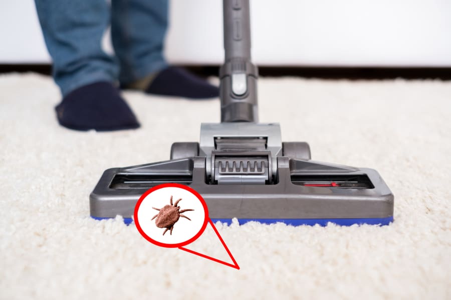 Vacuuming White Carpet Using The Vacuum Cleaner