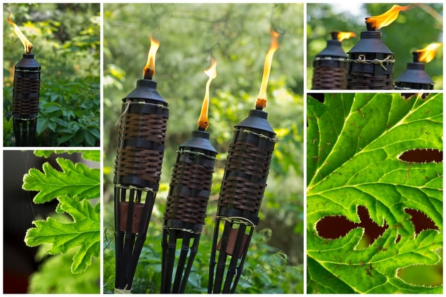 What You Must Burn To Repel Mosquitoes