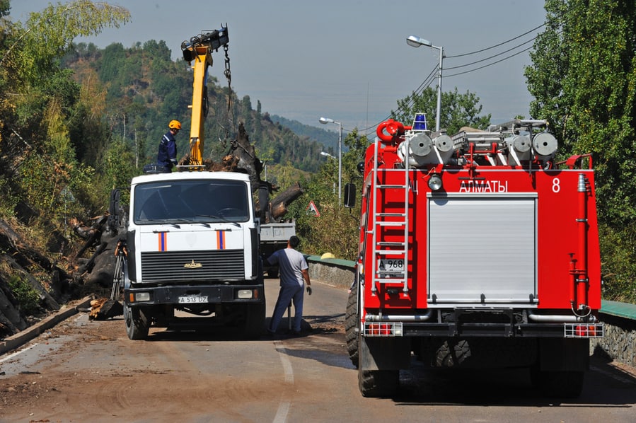 Wildfire Removal Service