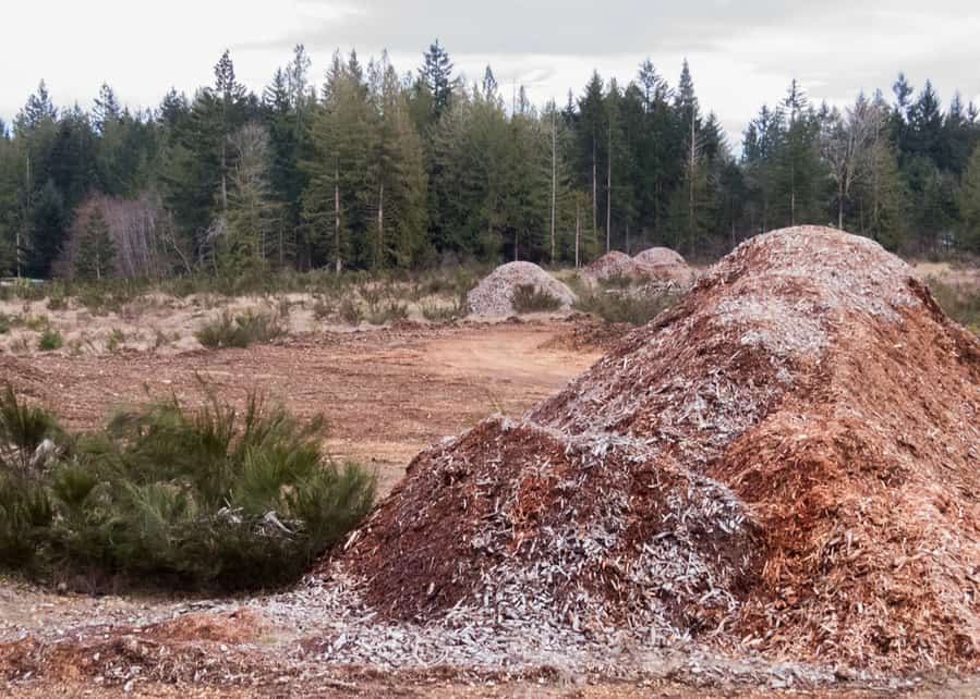 Wood Multch In Large Quantity