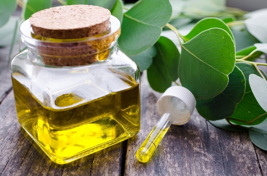 A Bottle Of Eucalyptus Essential Oil