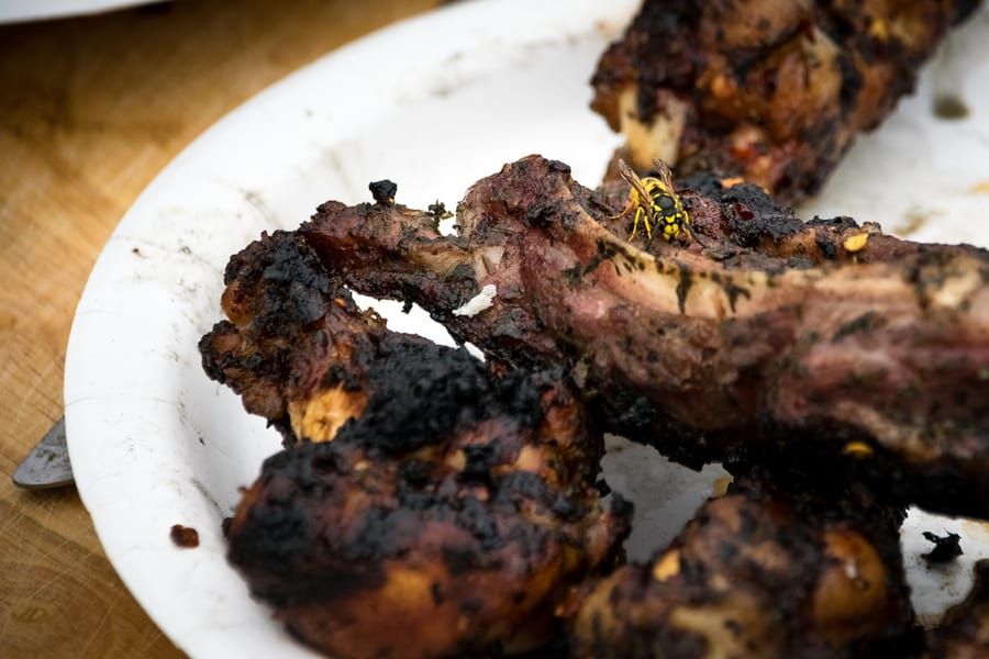 A Wasp Sat On Some Bbq Chicken On A Warm Summer Day