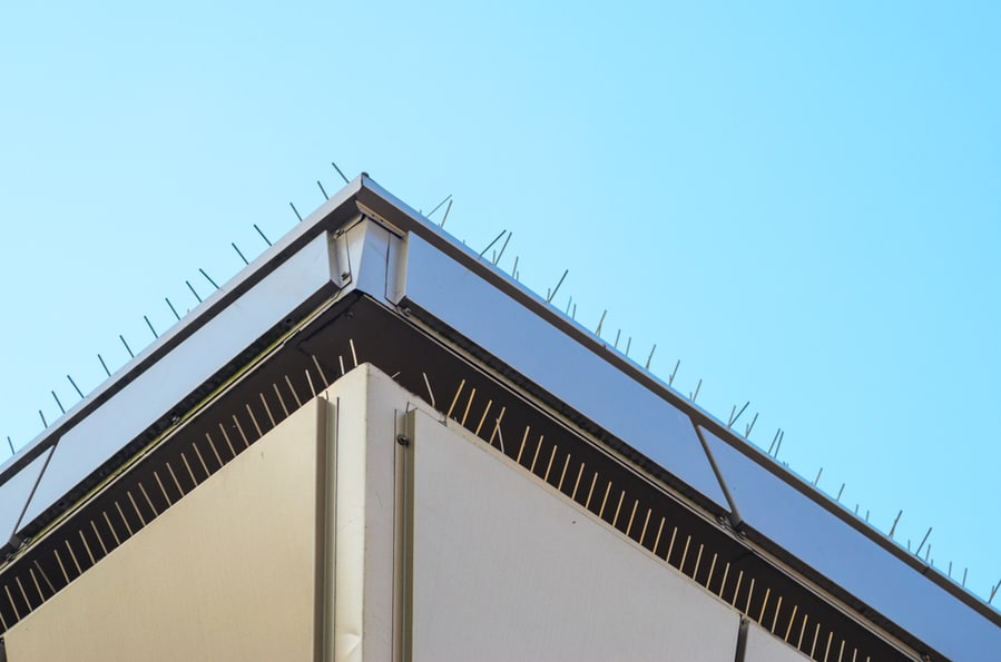 Bird Spikes On The Roof And Soffit