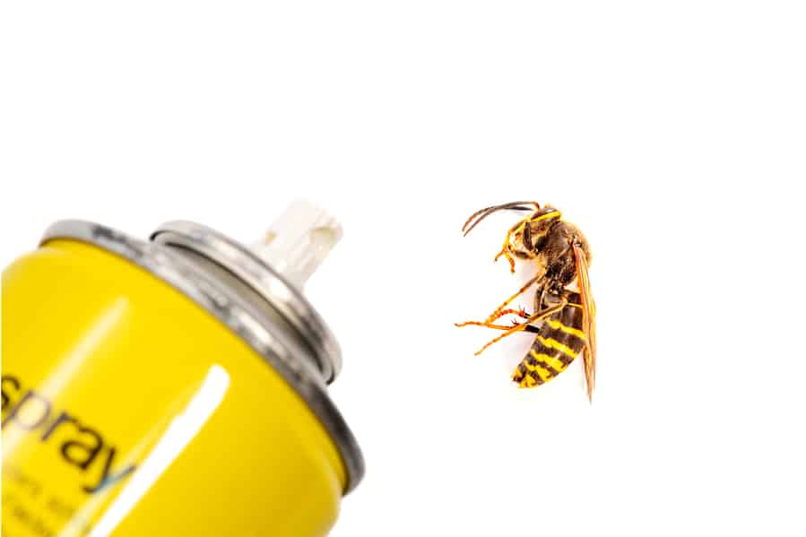 Bottle Aerosol For The Control Of Insects And A Wasp Isolated On White Background In Detail