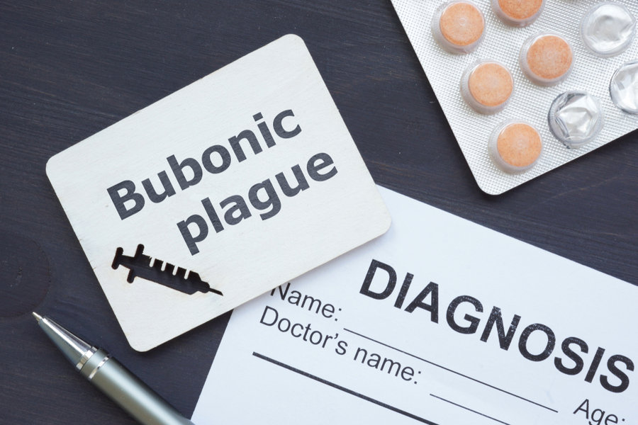 Bubonic Plague