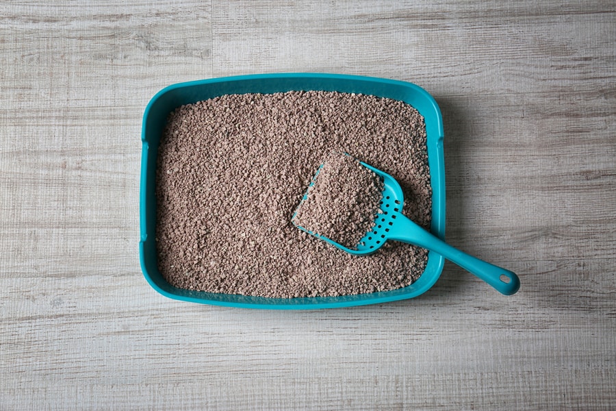 Cat Litter Box With Scoop On Wooden Floor